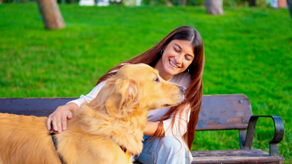 ¿Qué te dice tu mascota? China lanza un revolucionario collar con IA que traduce a perros y gatos