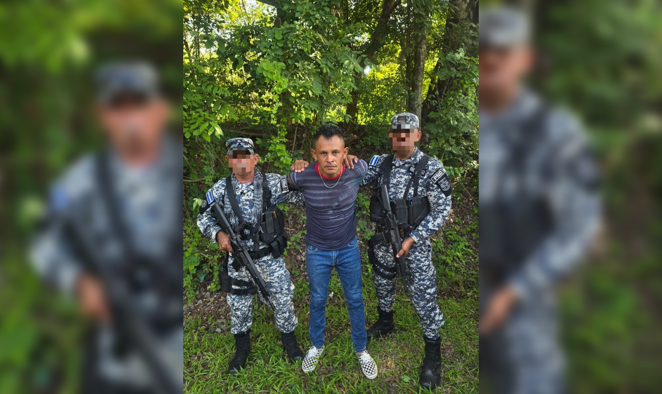 Desarticulan grupo vinculado al hurto y comercio ilegal de ganado