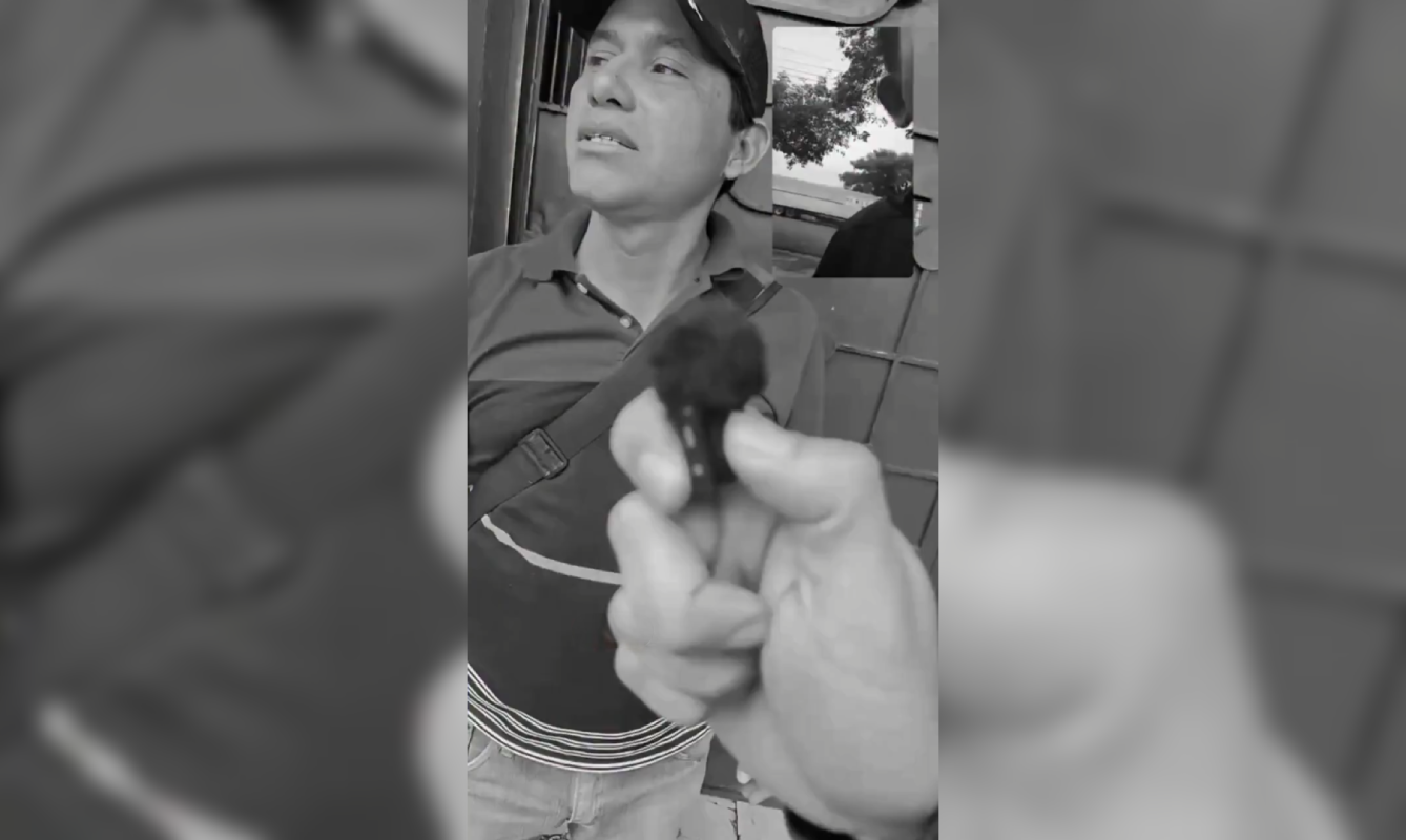Tirar basura en la calle podría costarte una multa en la capital