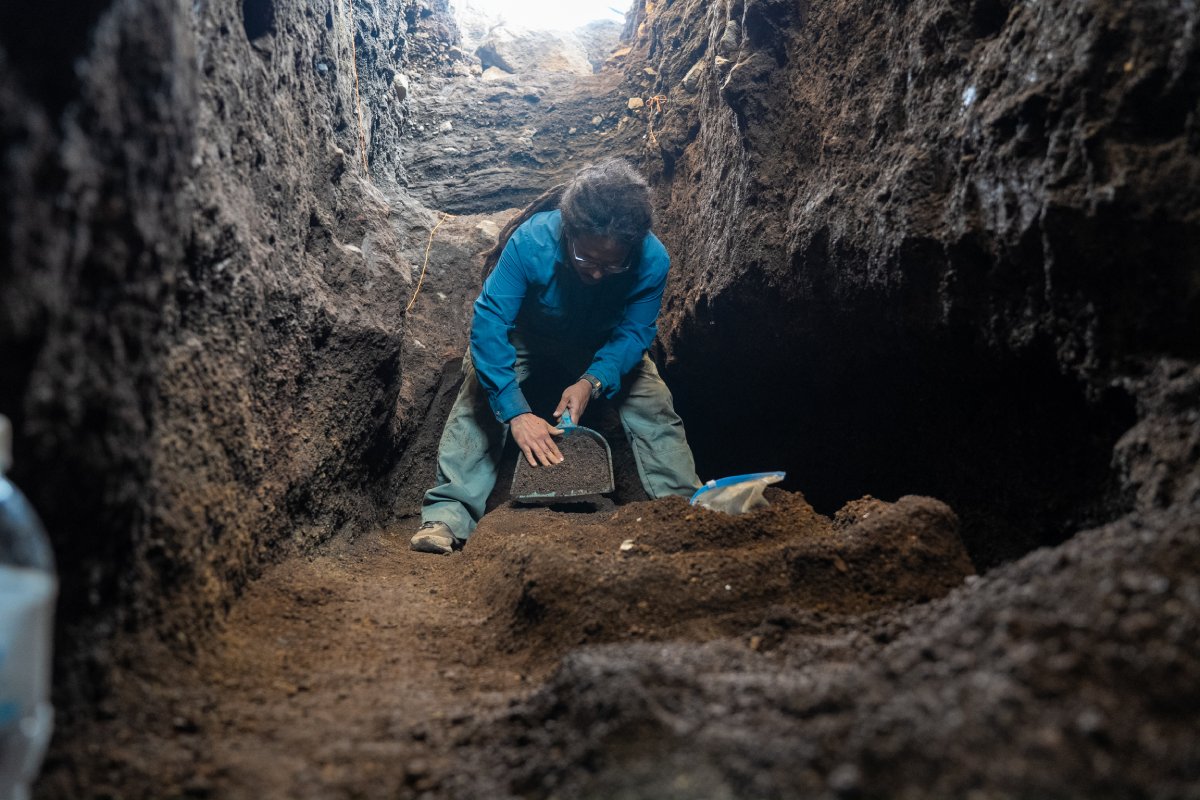 Arqueólogos desenterraron una osamenta humana y vestigios agrícolas del 850 a. C. conservados bajo ceniza volcánica en Antiguo Cuscatlán. Foto: Patrimonio Cultural.