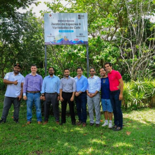 La Cancillería impulsa estrategias para expandir la presencia del café salvadoreño en mercados de Arabia Saudita y Ecuador, destacando variedades como Pacamara, Bourbon y Geisha. Foto: RREE.