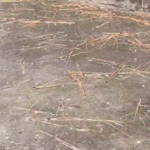Habitantes de San Martín captaron la inesperada caída de granizo durante una fuerte tormenta la tarde de ayer miércoles. (Foto: Captura de video/Redes Sociales)