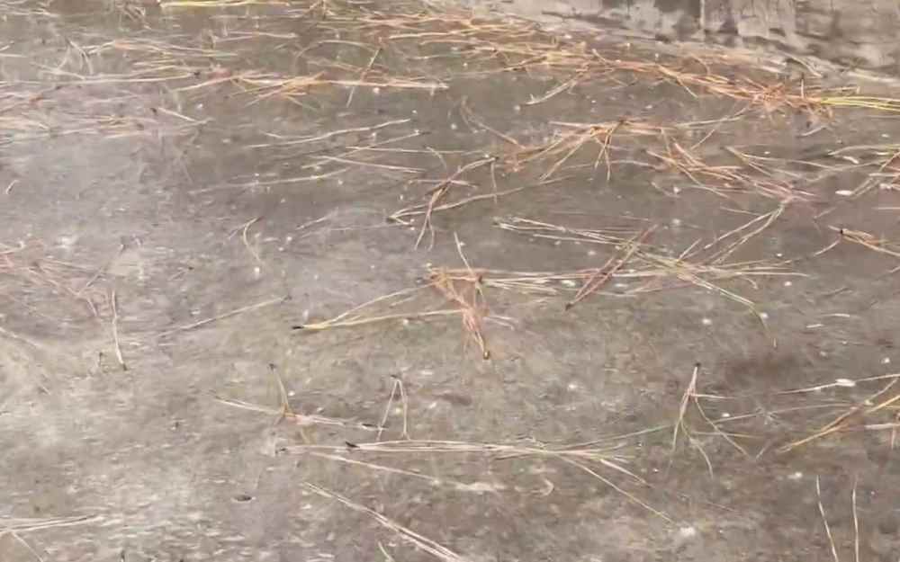 Habitantes de San Martín captaron la inesperada caída de granizo durante una fuerte tormenta la tarde de ayer miércoles. (Foto: Captura de video/Redes Sociales)