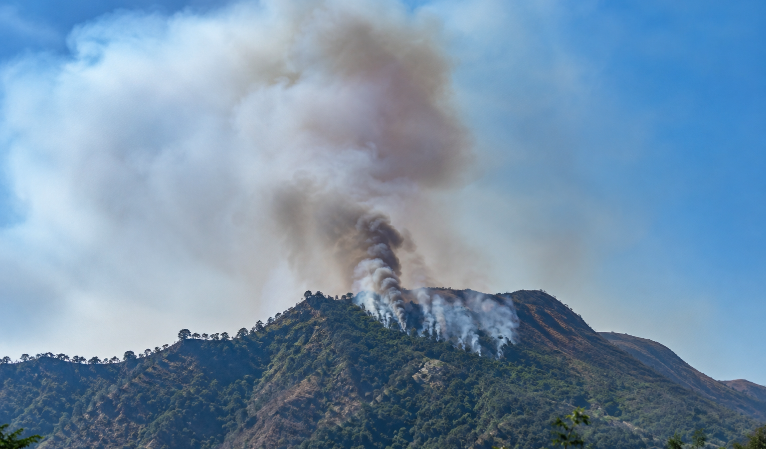 Se reporta un incendio forestal en el cerro El Pericón (Morazán Norte). Autoridades llaman a proteger los bosques de la zona oriental. Foto: Ilustración.