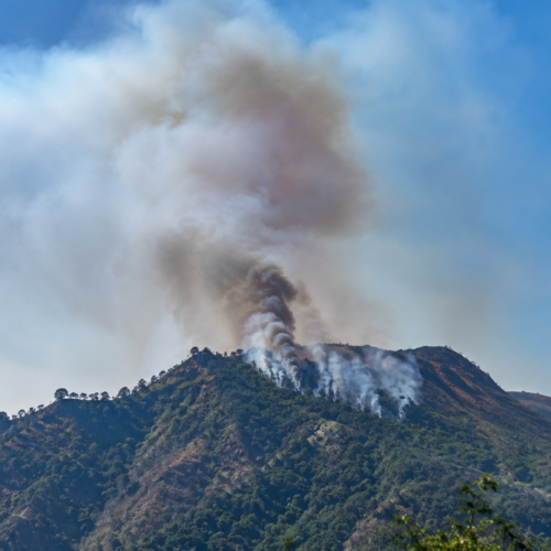 Se reporta un incendio forestal en el cerro El Pericón (Morazán Norte). Autoridades llaman a proteger los bosques de la zona oriental. Foto: Ilustración.