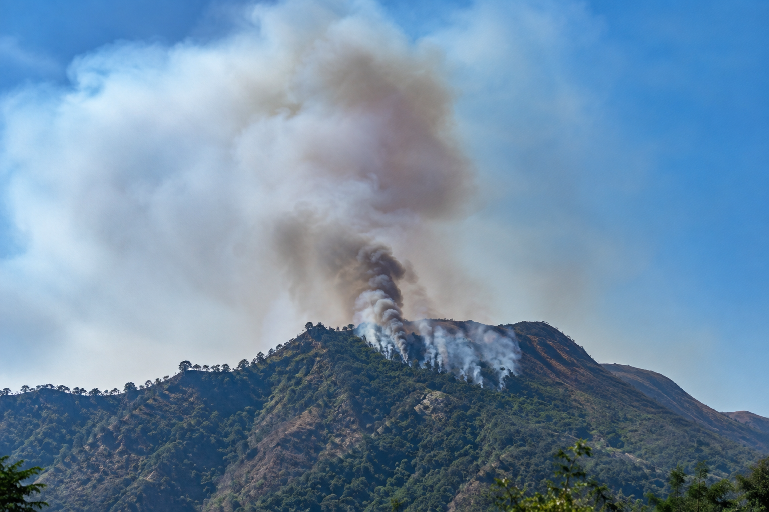 Se reporta un incendio forestal en el cerro El Pericón (Morazán Norte). Autoridades llaman a proteger los bosques de la zona oriental. Foto: Ilustración.