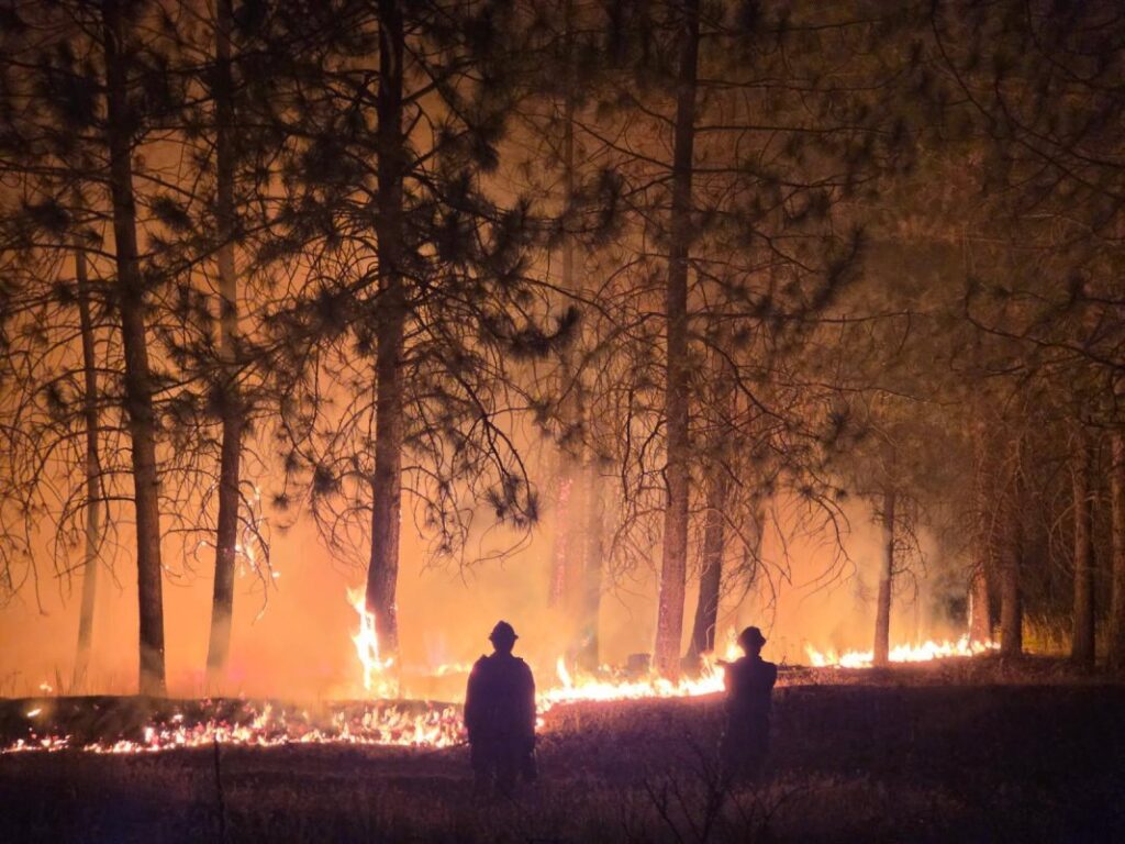 Más de 60 mil personas han sido evacuadas en el estado de Washington por incendios forestales sin precedentes en Spokane. Autoridades reportan 16 incendios activos y cientos de estructuras destruidas. Foto: @waDNR