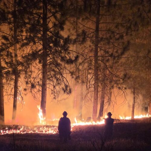 Más de 60 mil personas han sido evacuadas en el estado de Washington por incendios forestales sin precedentes en Spokane. Autoridades reportan 16 incendios activos y cientos de estructuras destruidas. Foto: @waDNR