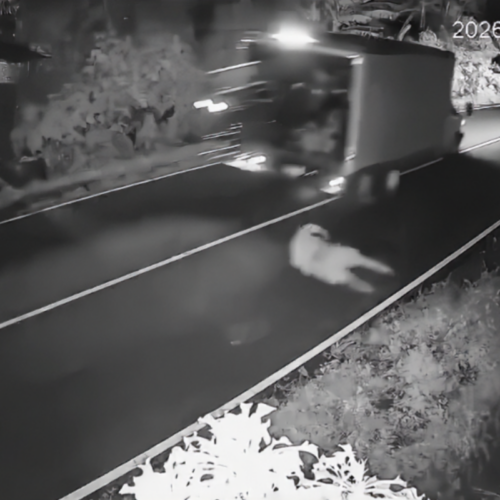 Un hombre cayó de un camión en movimiento en Sonsonate, lo que provocó que el vehículo perdiera el control y chocara contra un paredón. Las imágenes del accidente se han vuelto virales. Foto: Captura de pantalla.