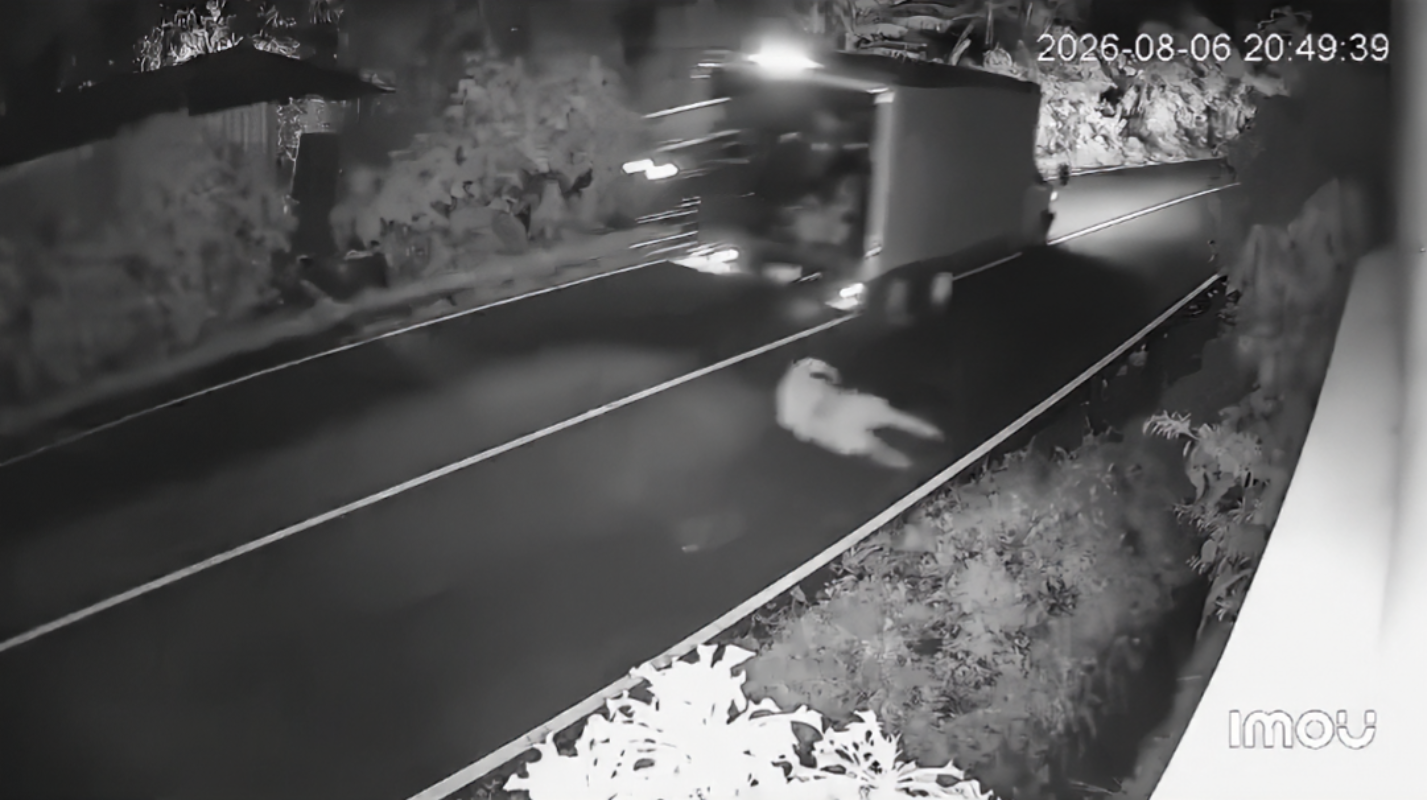 Un hombre cayó de un camión en movimiento en Sonsonate, lo que provocó que el vehículo perdiera el control y chocara contra un paredón. Las imágenes del accidente se han vuelto virales. Foto: Captura de pantalla.