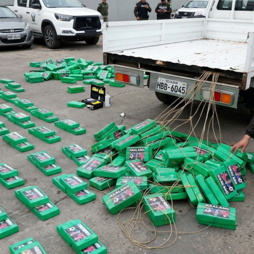 Agentes de la Policía Nacional de Ecuador inspeccionan los bloques decomisados de cocaína con la imagen de Erling Haaland en Carchi. Foto: Captura de pantalla.