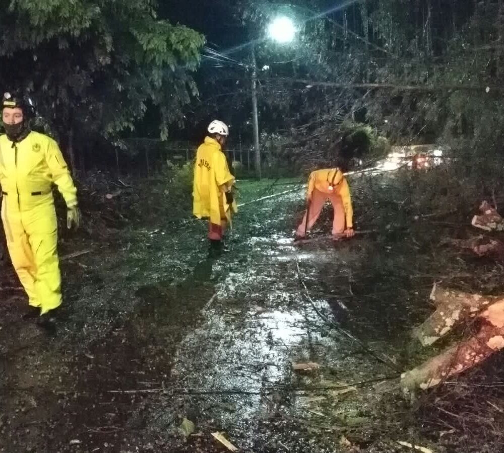 La onda tropical generó vientos fuertes que provocaron la caída de árboles y daños en el tendido eléctrico en varias zonas. Foto: Comandos de Salvamento