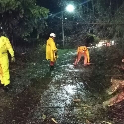 La onda tropical generó vientos fuertes que provocaron la caída de árboles y daños en el tendido eléctrico en varias zonas. Foto: Comandos de Salvamento