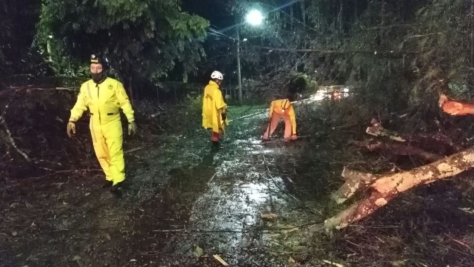La onda tropical generó vientos fuertes que provocaron la caída de árboles y daños en el tendido eléctrico en varias zonas. Foto: Comandos de Salvamento