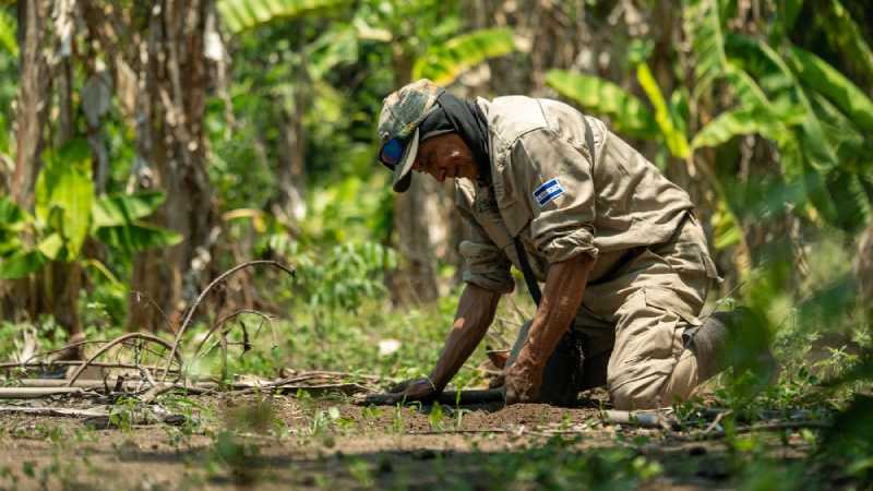 Habitantes y pescadores de la zona han reportado la presencia de cocodrilos en el río Lempa durante los últimos meses. Foto: MARN
