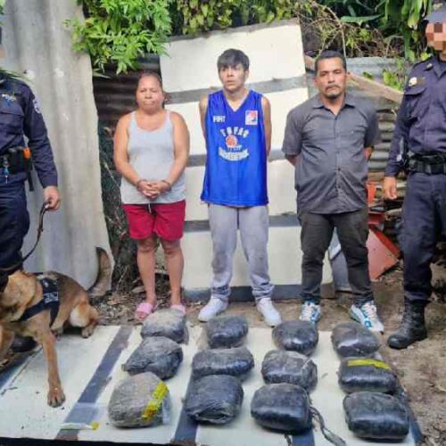 Tres personas fueron capturadas tras un allanamiento en San Salvador donde se hallaron porciones de marihuana y equipo de pesaje. Foto: X / Gustavo Villatoro