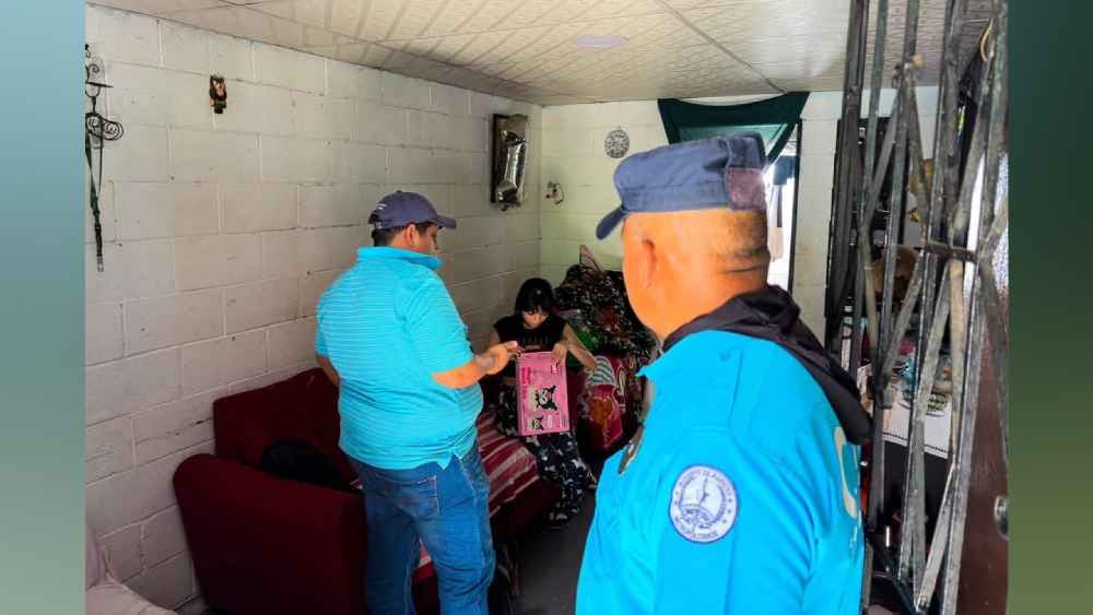 Los dos perros fueron puestos a salvo tras una intervención conjunta entre el CAM y la PNC. Foto: cortesía