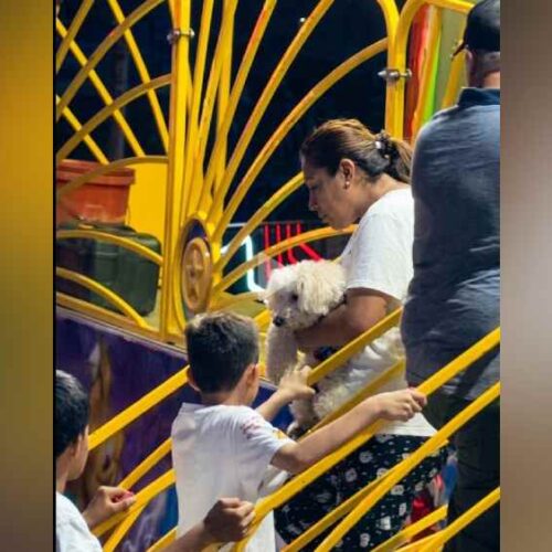 La joven llevaba a su mascota cargada en brazos justo antes de que los encargados le negaran el acceso al juego mecánico. Captura de pantalla