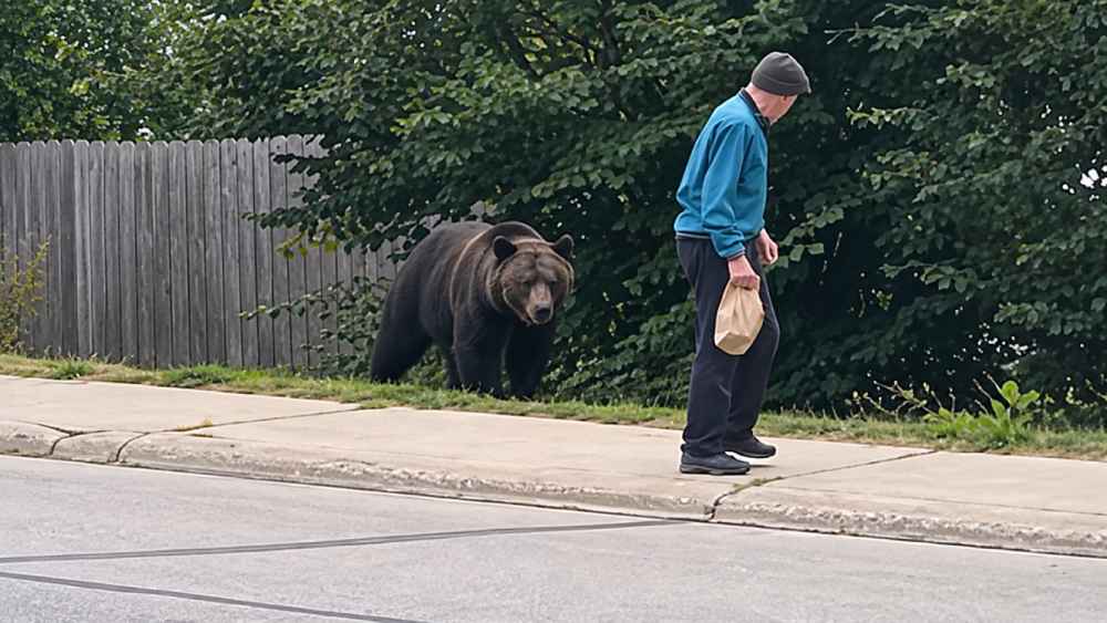 Un oso apareció detrás de un hombre que caminaba sin advertir inicialmente la presencia del animal. Captura de video.