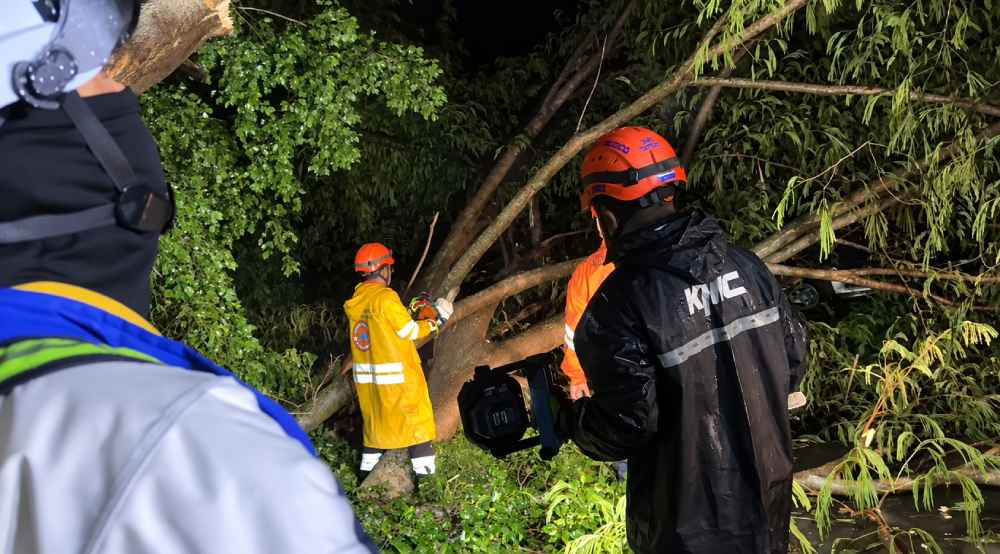 Equipos de Protección Civil y Bomberos retiran un árbol caído en la carretera entre Ahuachapán y Santa Ana tras las lluvias registradas durante la noche y madrugada. Foto: @PROCIVILSV.