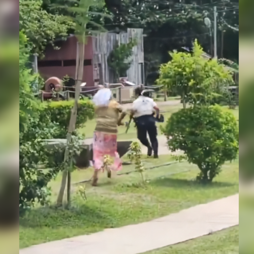 Una mujer de 73 años, conocida como "Hermana Mary", fue detenida en Sonsonate tras amenazar con un cuchillo a agentes municipales y de la PNC. Foto: @PNCSV.