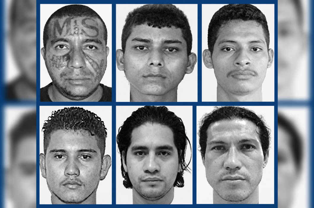Algunos de los integrantes de la MS-13 condenados por el Tribunal Tercero contra el Crimen Organizado por delitos cometidos en La Paz. Foto: @FGR_SV.