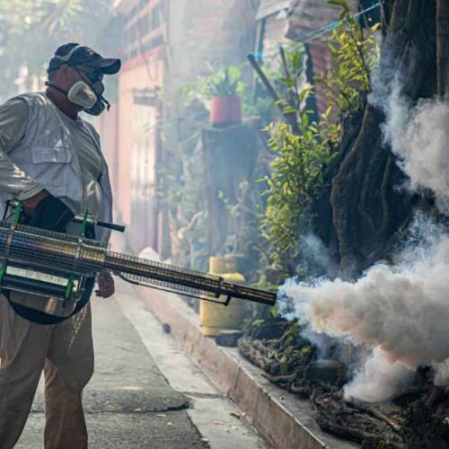 El dengue alcanzó 308 casos sospechosos durante la semana epidemiológica 36 de 2026 en El Salvador. Salud recomienda eliminar posibles criaderos del mosquito transmisor. Foto: @SaludSV.
