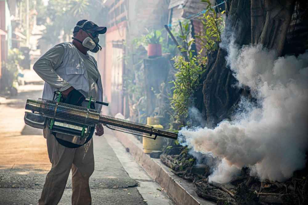El dengue alcanzó 308 casos sospechosos durante la semana epidemiológica 36 de 2026 en El Salvador. Salud recomienda eliminar posibles criaderos del mosquito transmisor. Foto: @SaludSV.