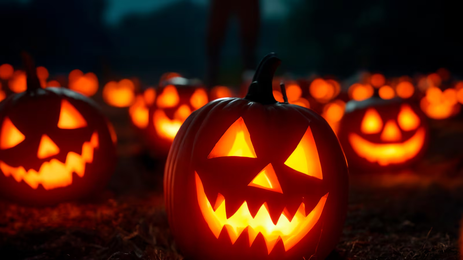 Las plataformas de streaming ya preparan sus catálogos de Halloween con clásicos y nuevas películas de terror. Foto: Freepik.