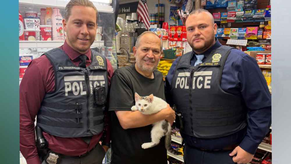 Jabal, un gatito de apenas tres meses, desapareció de una bodega de Brooklyn y provocó una movilización entre vecinos, clientes y comerciantes. Días después regresó a casa y una mujer fue detenida en relación con el caso. Photo: FRANCES WANG.