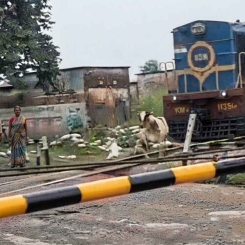 Vaca de pie junto a las vías del tren tras sobrevivir a un aparatoso impacto en Uttar Pradesh, India. Captura de pantalla