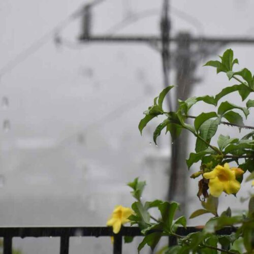 Las lluvias y tormentas aumentaron durante la tarde sobre la cadena volcánica y distintos sectores de El Salvador. Foto: Juan José López / Publimetro El Salvador