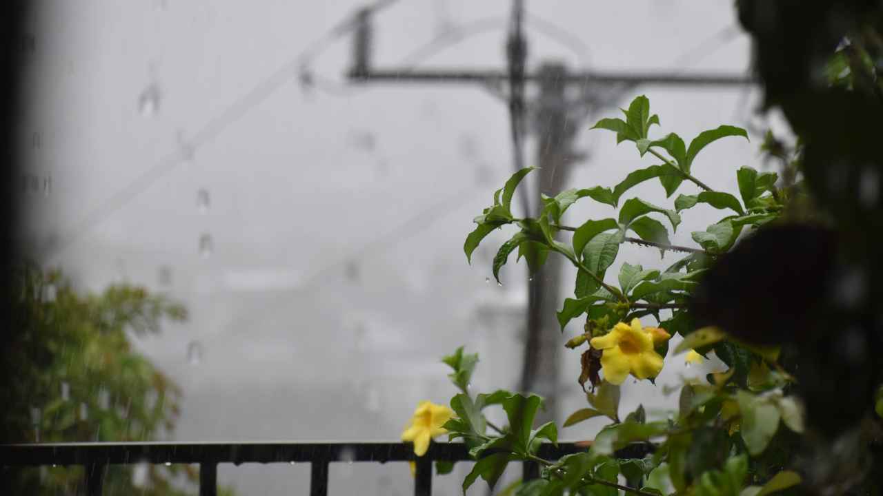 Las lluvias y tormentas aumentaron durante la tarde sobre la cadena volcánica y distintos sectores de El Salvador. Foto: Juan José López / Publimetro El Salvador
