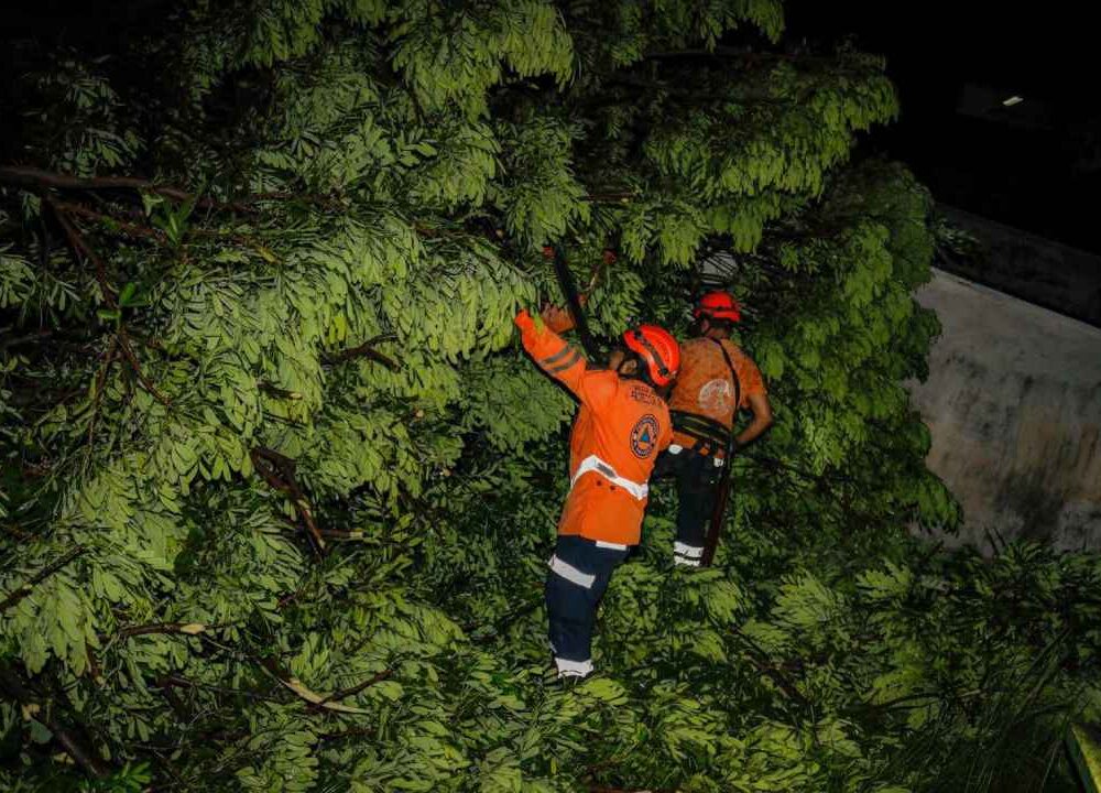 Las tormentas se desarrollarán primero en el norte de El Salvador y durante la noche podrían alcanzar el AMSS y distintos sectores del centro y occidente. Foto: referencia.