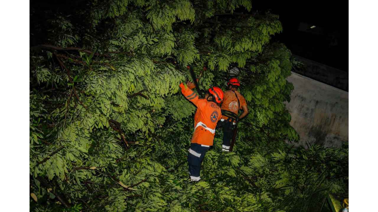 Las tormentas se desarrollarán primero en el norte de El Salvador y durante la noche podrían alcanzar el AMSS y distintos sectores del centro y occidente. Foto: referencia.