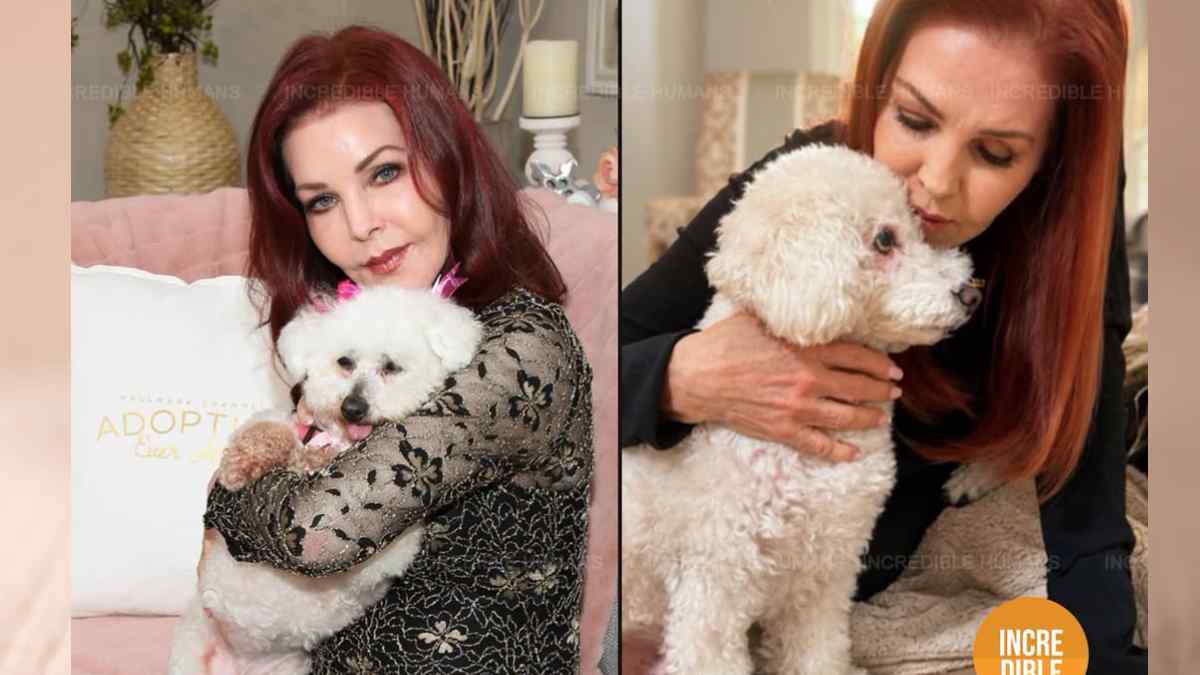 Priscilla Presley presentó a Toby, un perro rescatado de aproximadamente diez años que ahora forma parte de su familia. Foto: Instagram de Priscilla Presley.