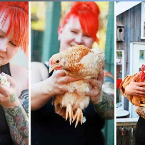 Ashley Woods obtuvo un récord Guinness después de reunir 43 tatuajes relacionados con gallinas en distintas partes de su cuerpo. Foto: Hanna Marttinen.