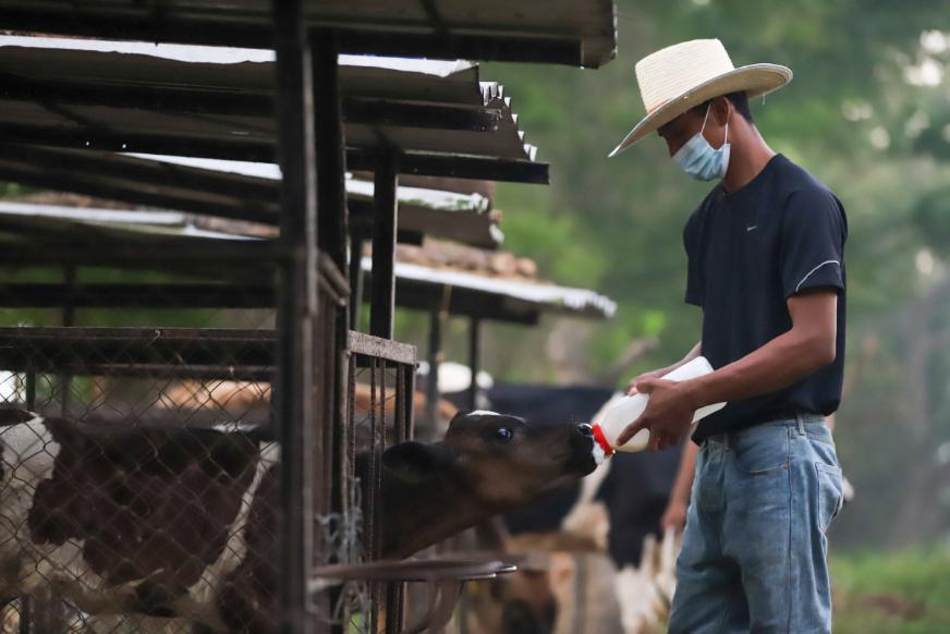 La Escuela Nacional de Agricultura celebra el Día de Campo ENA 2026, una jornada para acercarse al mundo agrícola y compartir en familia. Cortesía.