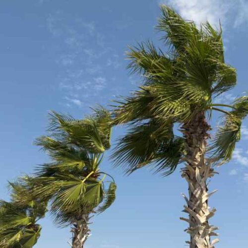 El clima en El Salvador estará marcado por cielos despejados, Vientos Nortes y temperaturas más frescas durante la madrugada del martes 27 de octubre.