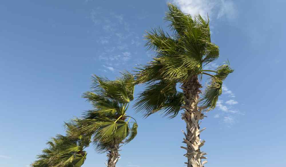 El clima en El Salvador estará marcado por cielos despejados, Vientos Nortes y temperaturas más frescas durante la madrugada del martes 27 de octubre.