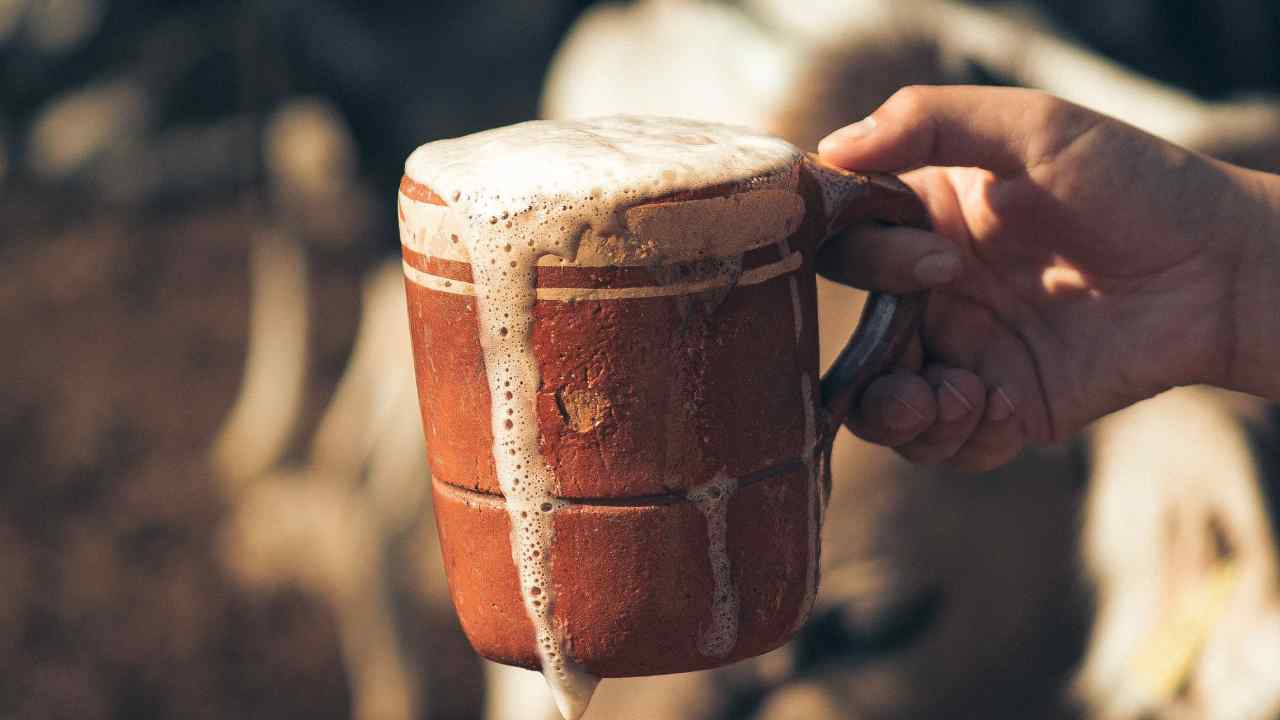 Metapán celebrará el Festival de la Leche 2026 el sábado 24 de octubre, con demostraciones de elaboración de cuajada y dulce de leche en su parque central. Pexels