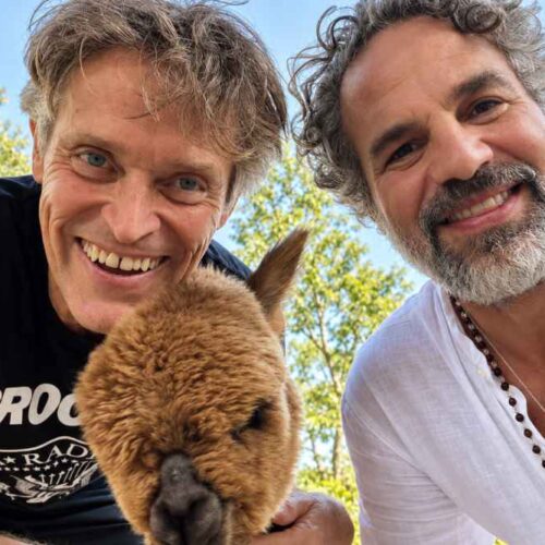 Willem Dafoe, reconocido por interpretar al Duende Verde, compartió su afición por las tareas domésticas y el cuidado de animales. Foto: Redes sociales.