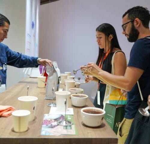 El café salvadoreño, con sus variedades pacamara y bourbon, fue presentado en World of Coffee Panamá 2026 ante compradores y especialistas internacionales. Cortesía