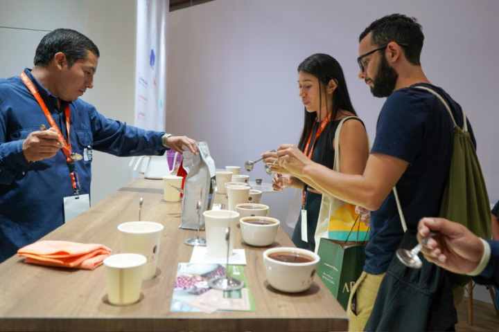 El café salvadoreño, con sus variedades pacamara y bourbon, fue presentado en World of Coffee Panamá 2026 ante compradores y especialistas internacionales. Cortesía
