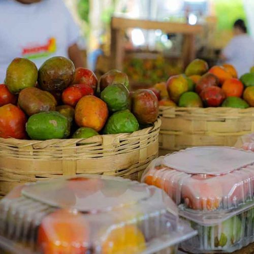 El jocote corona inspira preparaciones poco convencionales que forman parte de la oferta anunciada para la feria en Cerro Verde. @SecPrensaSV.