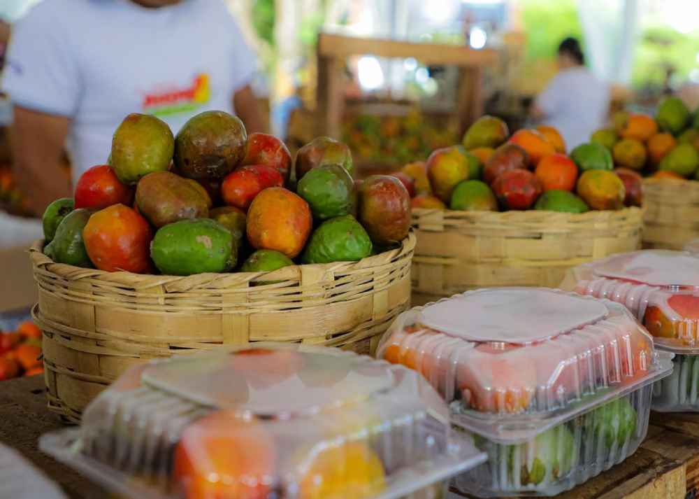El jocote corona inspira preparaciones poco convencionales que forman parte de la oferta anunciada para la feria en Cerro Verde. @SecPrensaSV.