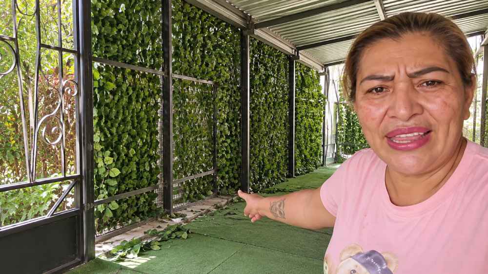 Yanira Berríos inició el desmontaje de la estructura instalada frente a su vivienda en Soyapango, según imágenes difundidas en redes sociales. Foto: Captura de pantalla - Ilustración.